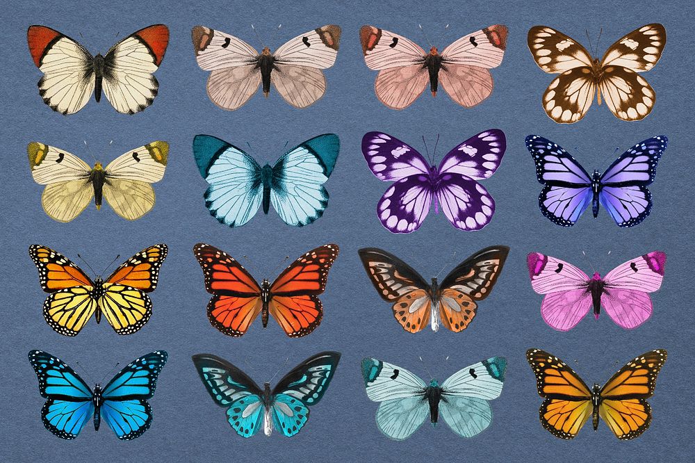 Colorful butterflies, aesthetic nature collage element set, editable design