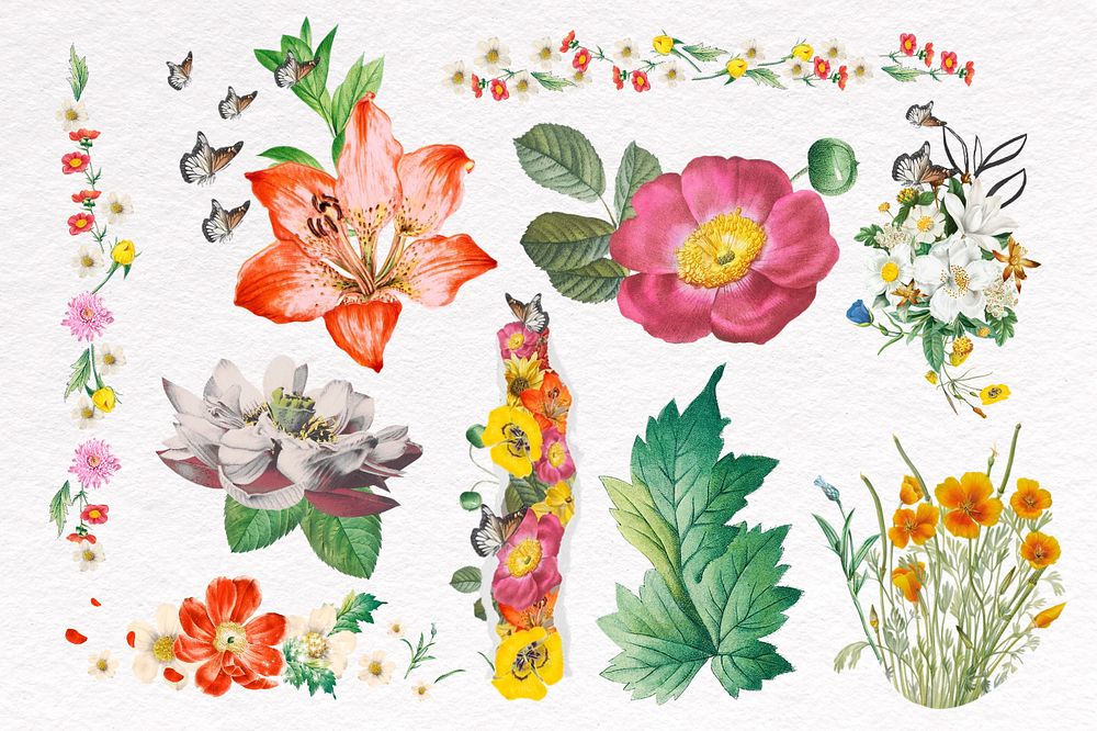 Colorful flowers collage element set, editable design