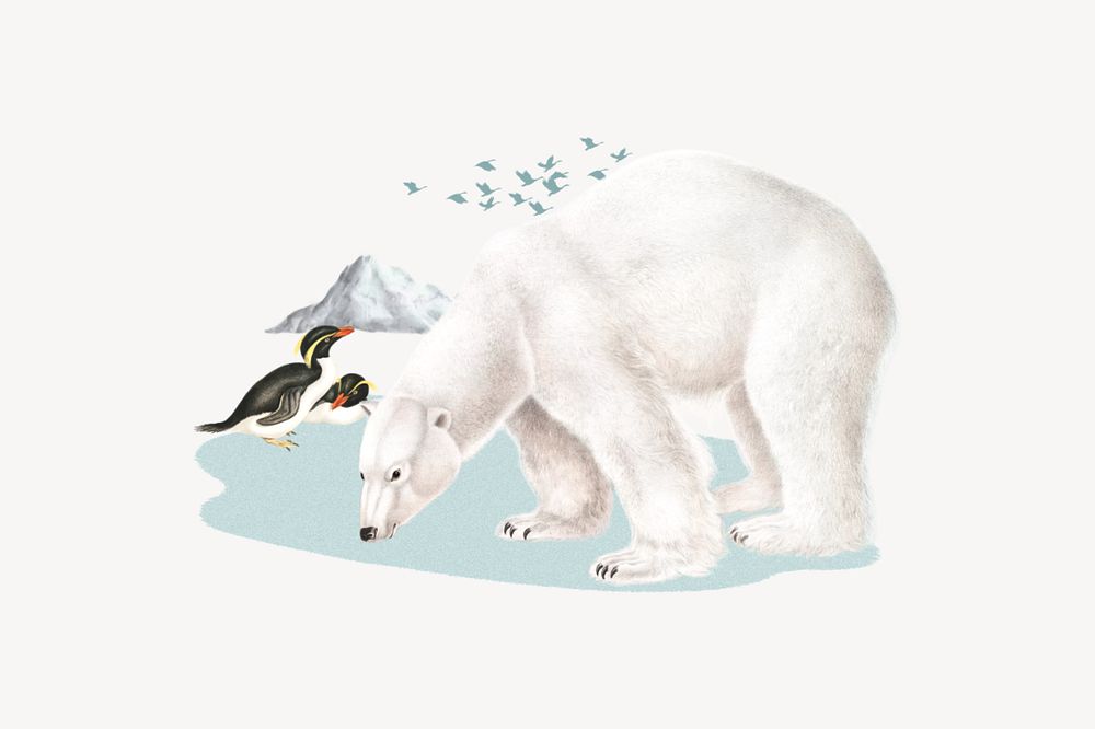 Polar bear and penguins, global warming editable collage art