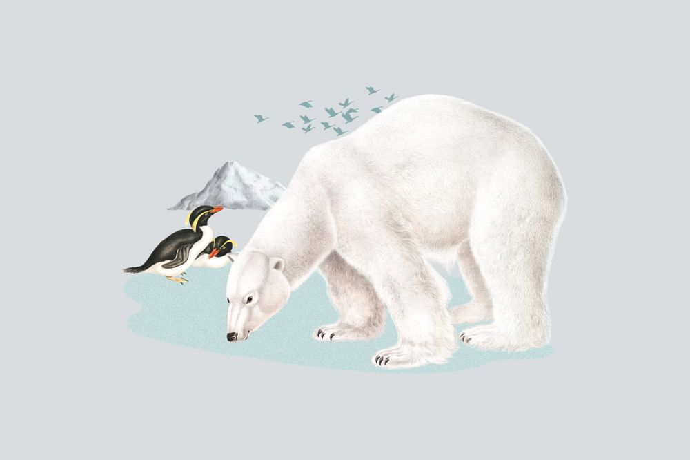 Polar bear and penguins, global warming editable collage art