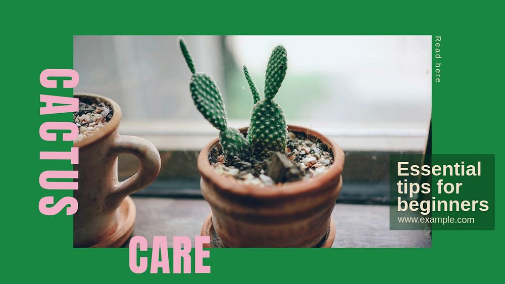 Cactus care blog banner template, editable design