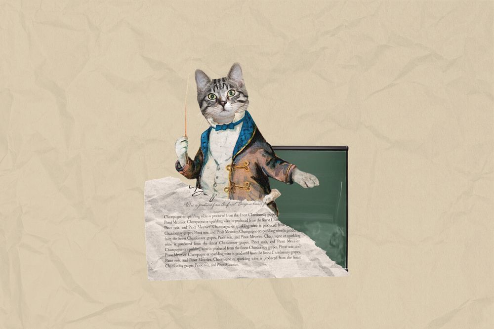 Cat dressed as teacher, education editable collage. Remixed by rawpixel.