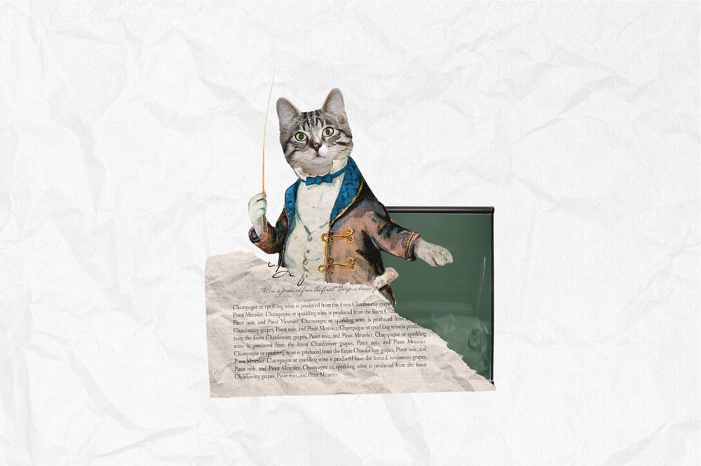 Cat dressed as teacher, education editable collage. Remixed by rawpixel.