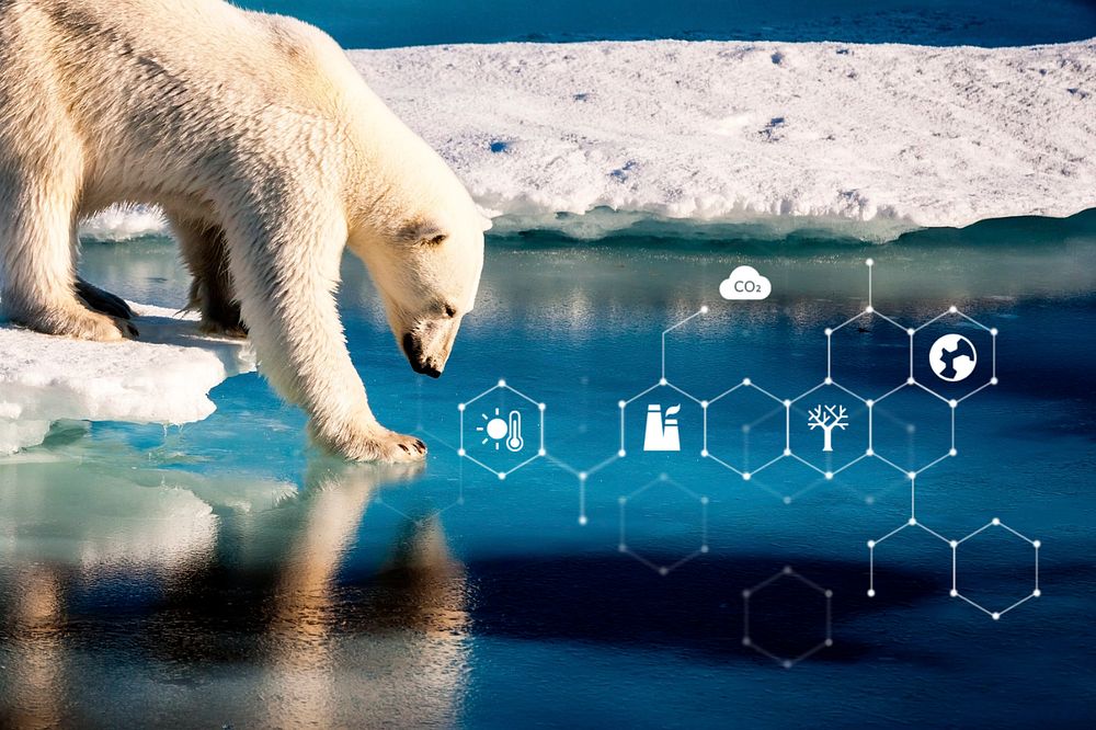 Polar bear, climate change, digital remix, editable design