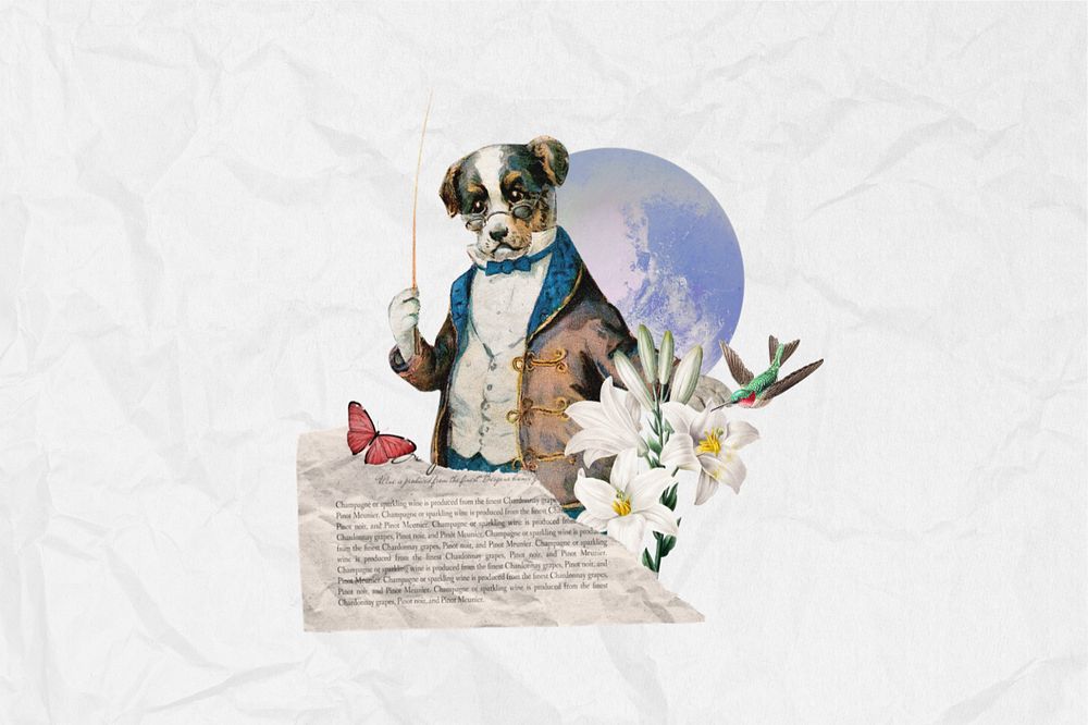 Dog music conductor, editable entertainment collage. Remixed by rawpixel.