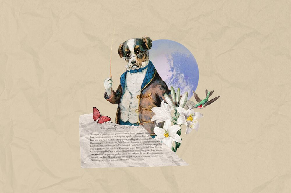 Dog music conductor, editable entertainment collage. Remixed by rawpixel.