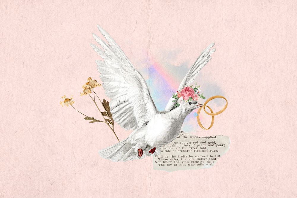 Wedding rings, flying dove aesthetic editable collage. Remixed by rawpixel.