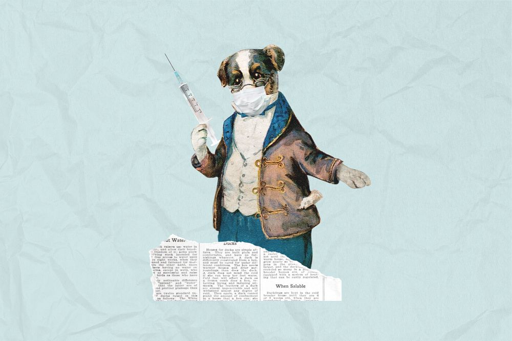 Dog holding needle, editable healthcare collage. Remixed by rawpixel.