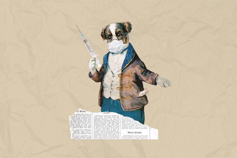 Dog holding needle, editable healthcare collage. Remixed by rawpixel.