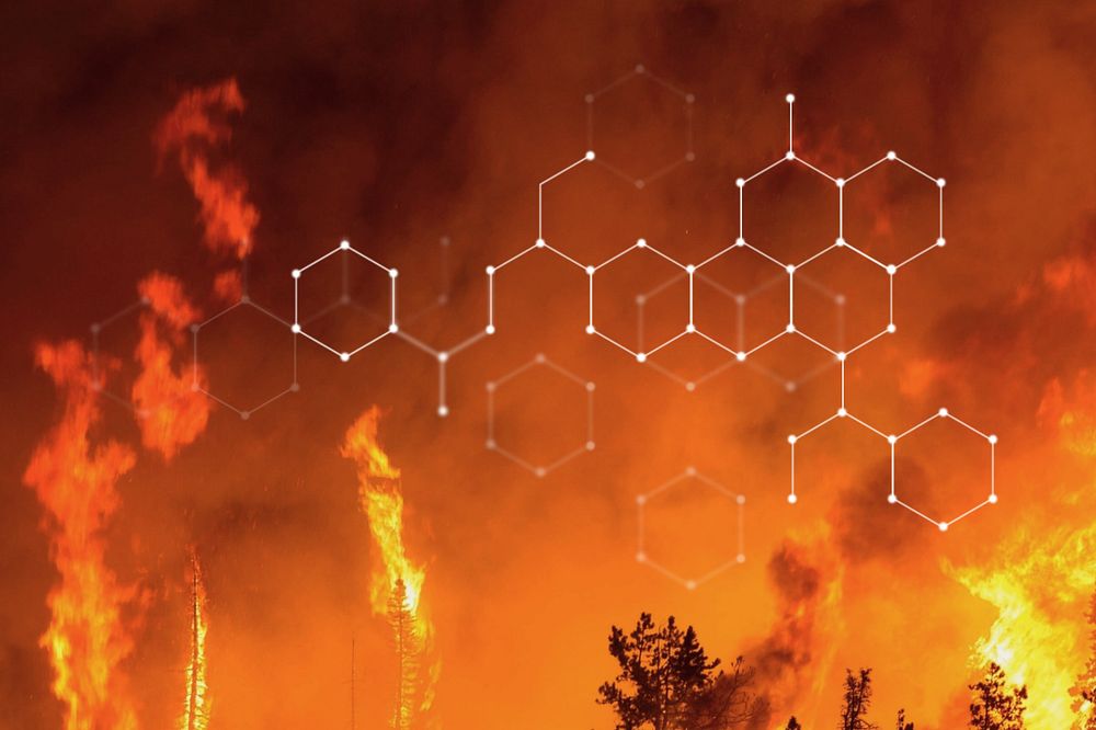 Forest fire, climate change, digital remix, editable design