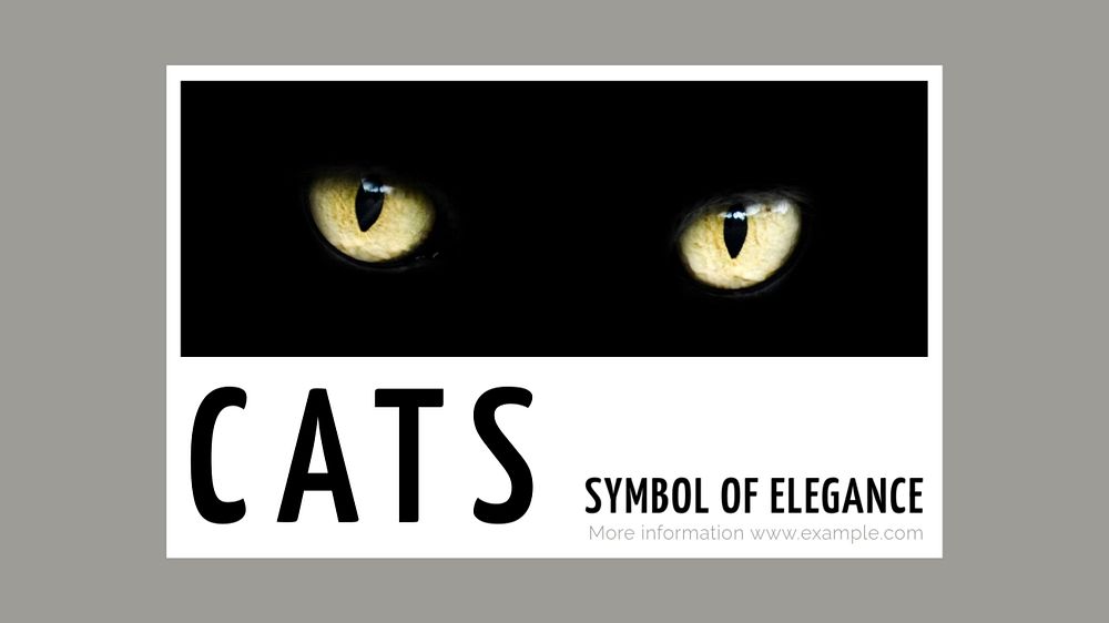 Cats blog banner template, editable text