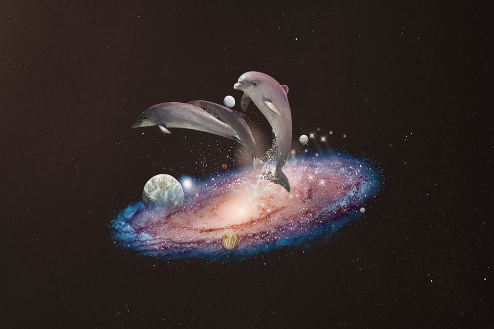 Swimming dolphins, galaxy aesthetic editable remix