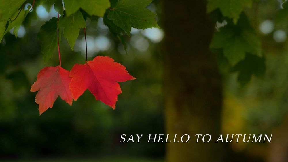 Say hello to autumn blog banner template, editable text