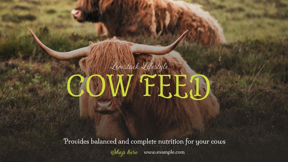 Cow feed blog banner template, editable text