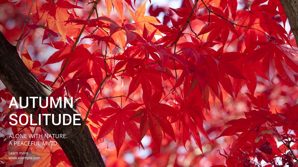 Autumn blog banner template, editable text