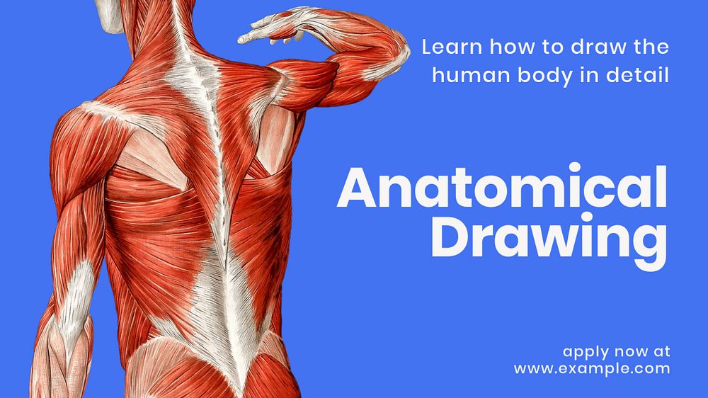 Anatomical drawing blog banner template, editable text