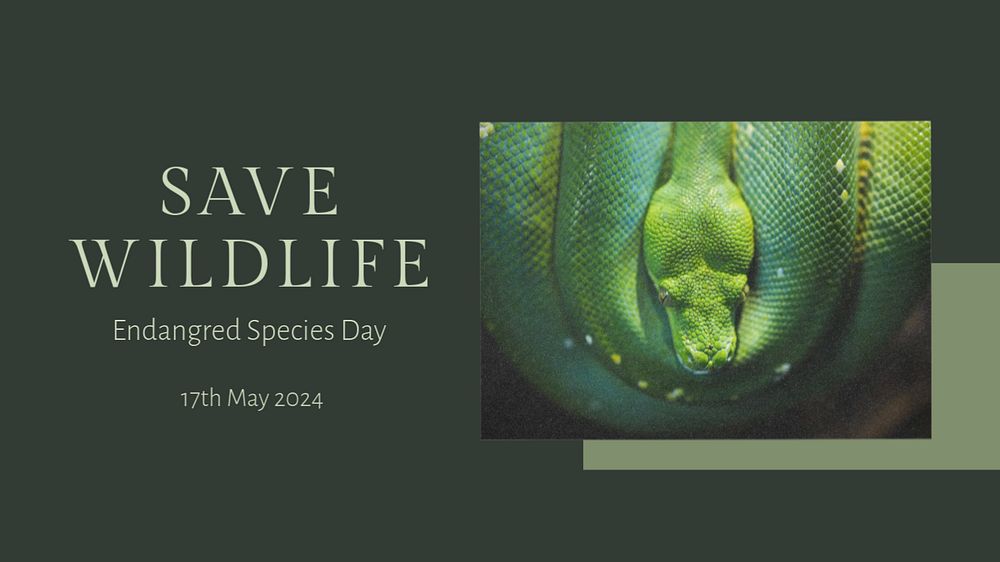 Save wildlife  blog banner template, editable text