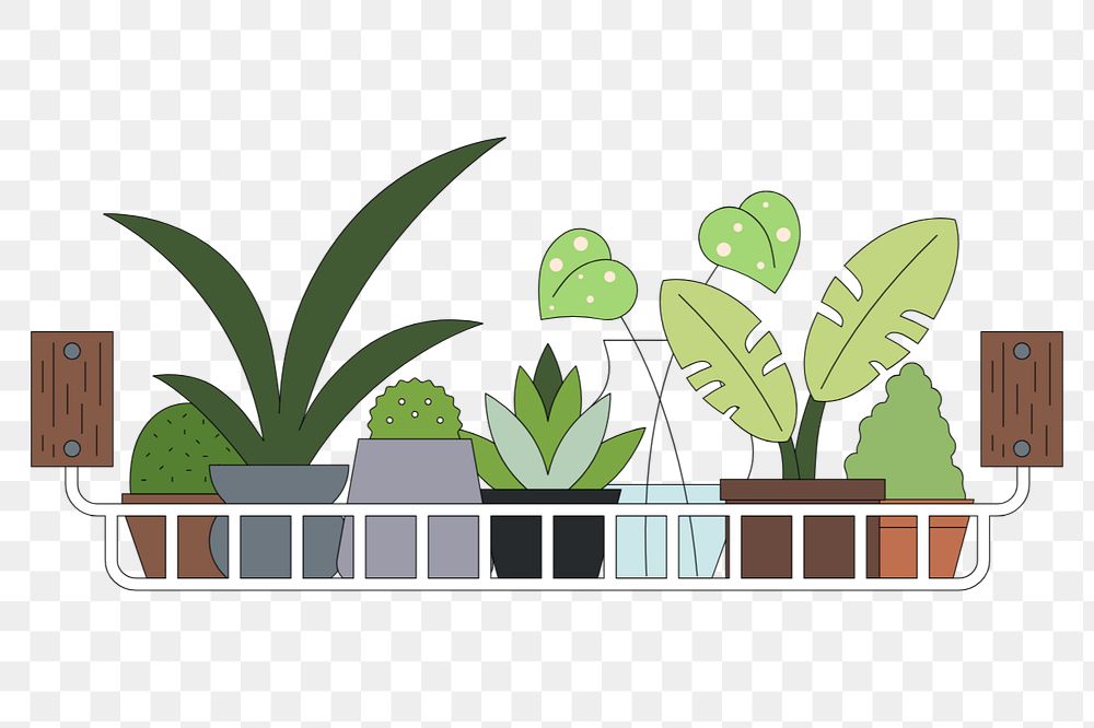 Houseplant pots on shelf, flat illustration, editable design