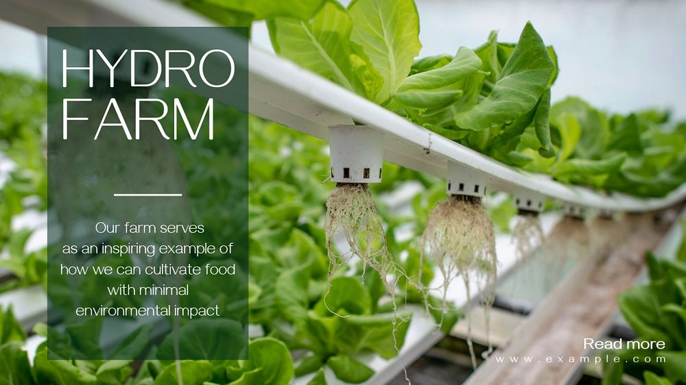 Hydro farm  blog banner template, editable text