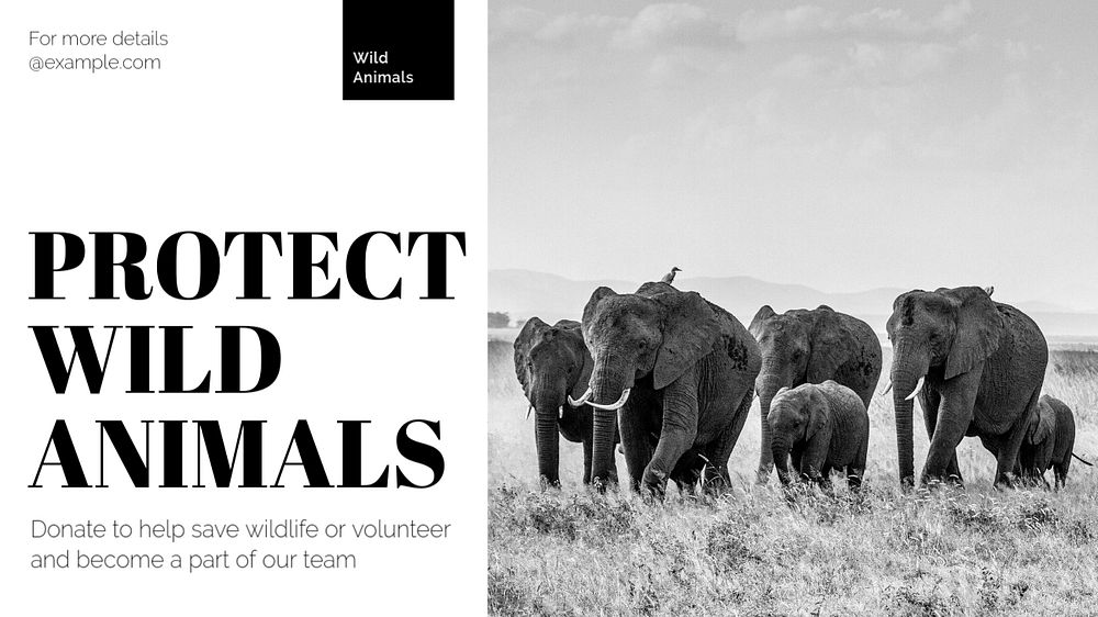 Protect wild animals  blog banner template, editable text