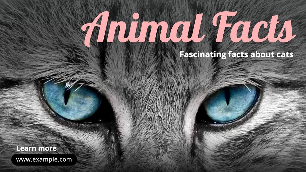 Animal facts blog banner template, editable text