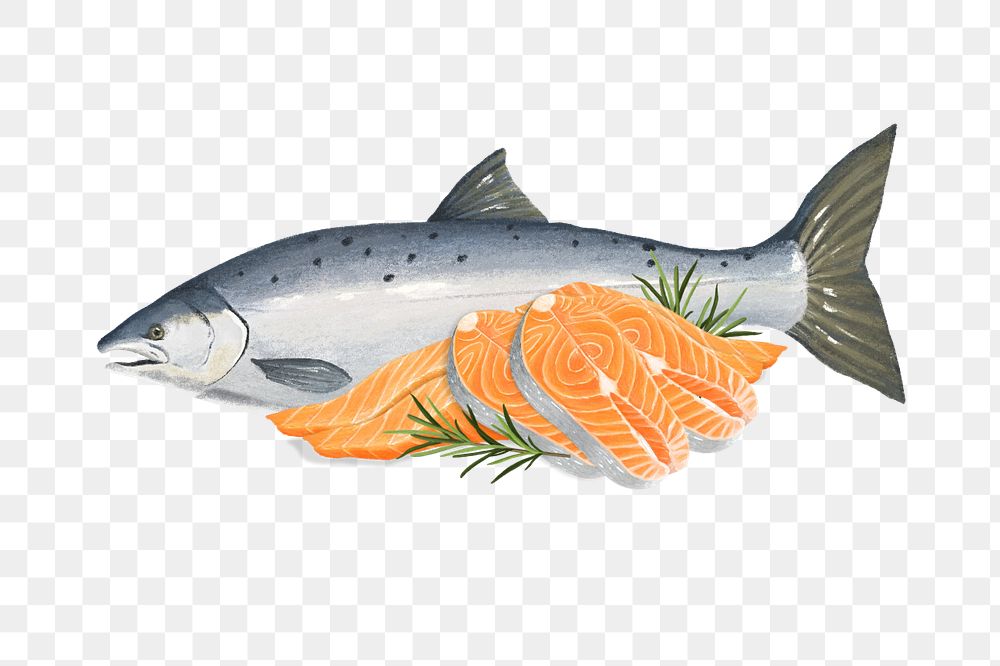 Salmon sashimi fish, seafood png illustration, editable design