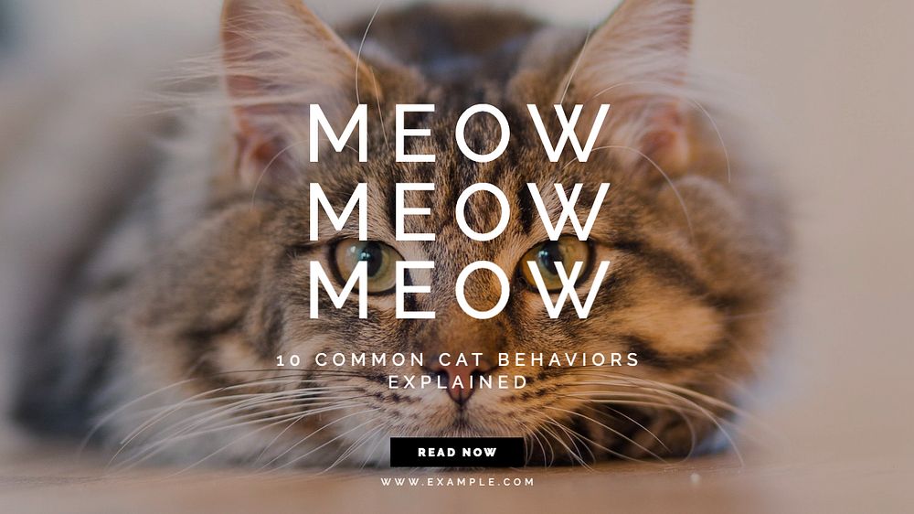 Cat & kitten blog banner template, editable text