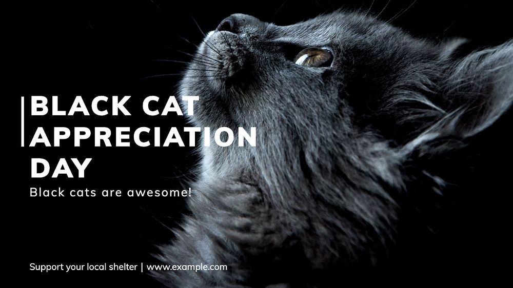 Black cat blog banner template, editable text