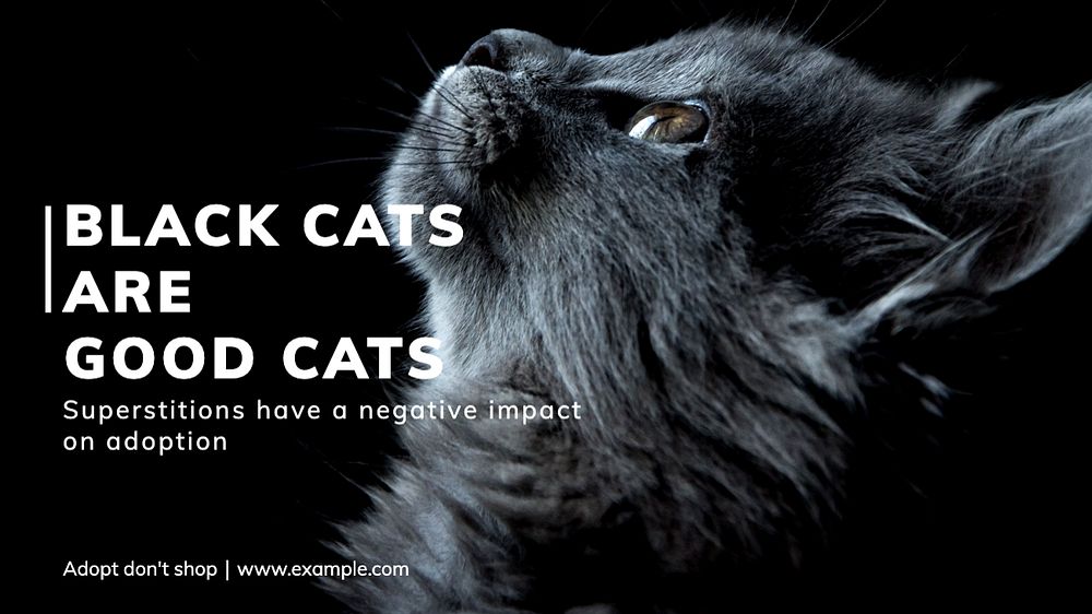 Black cats blog banner template, editable text