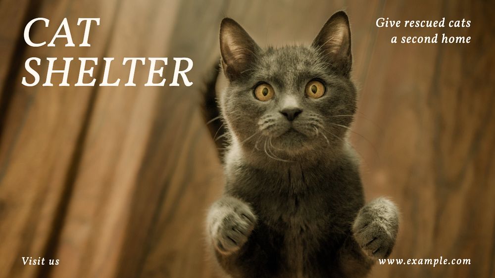 Cat shelter blog banner template, editable text