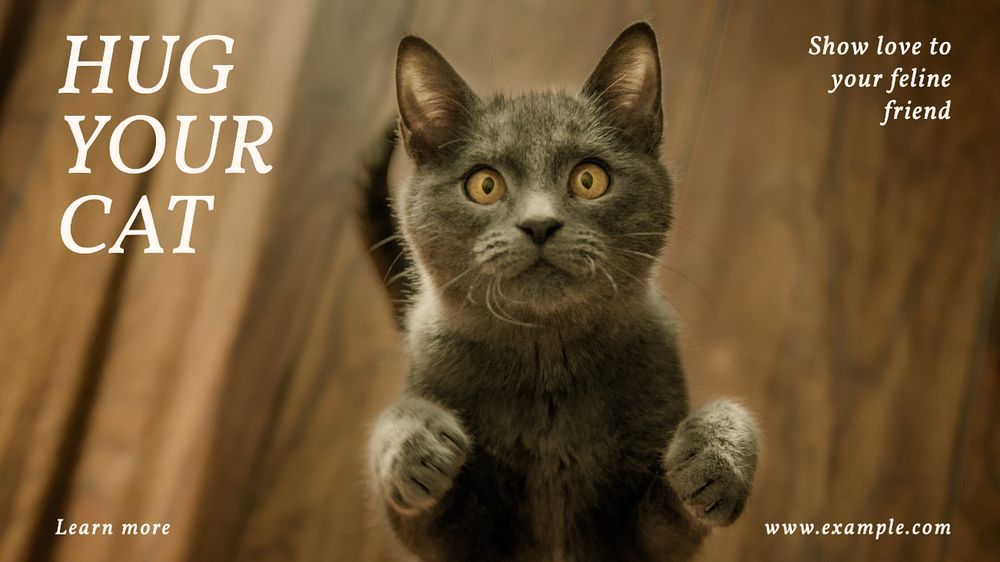 Hug your cat blog banner template, editable text