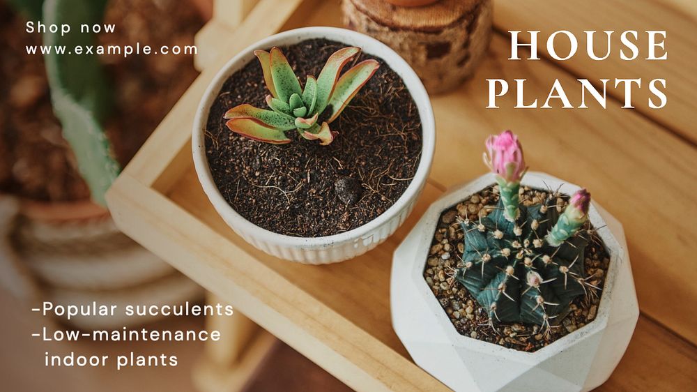 Home plants blog banner template, editable text