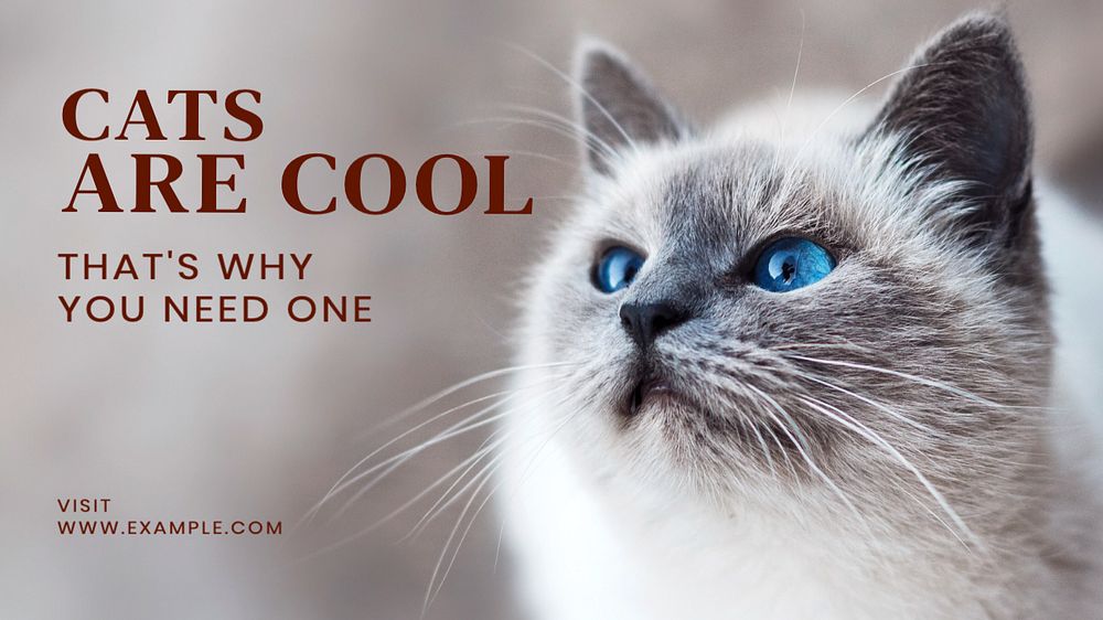 Cats blog banner template, editable text