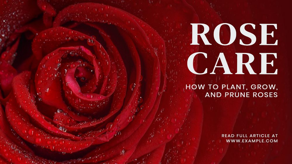 Rose care blog banner template, editable text