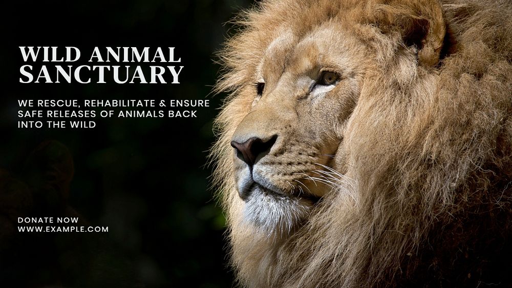 Wildlife sanctuary blog banner template, editable text