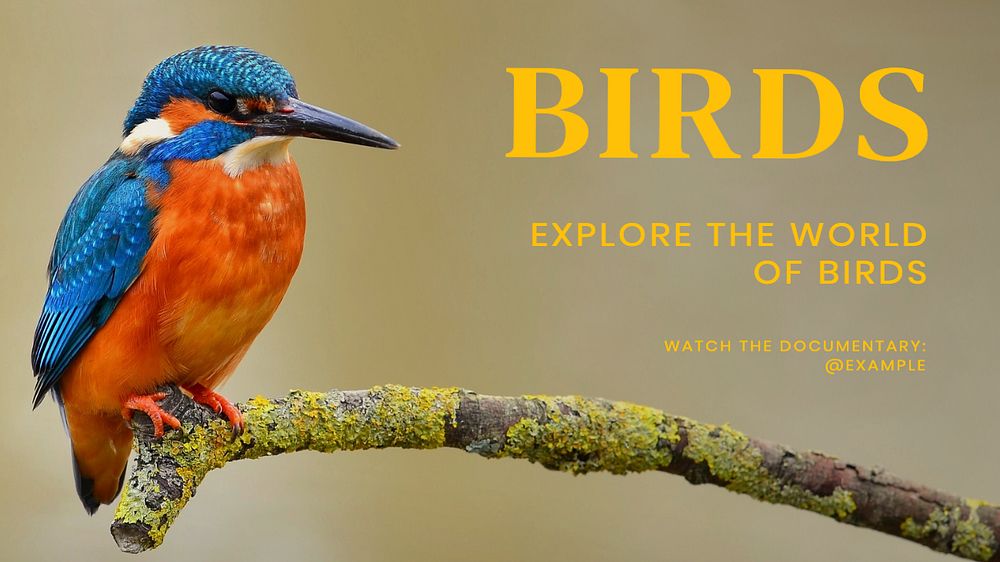 Bird documentary blog banner template, editable text