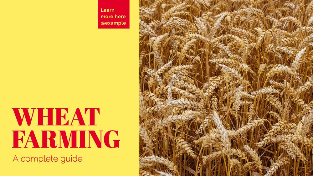 Wheat farming  blog banner template, editable text