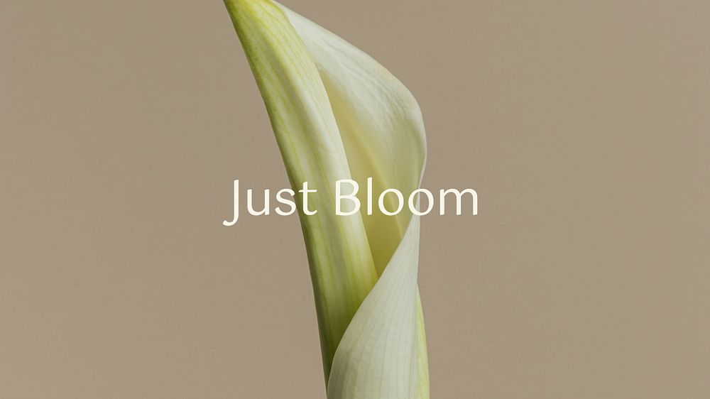 Bloom, positivity quote  blog banner template, editable text