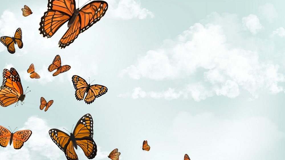 Editable butterfly sky   desktop wallpaper