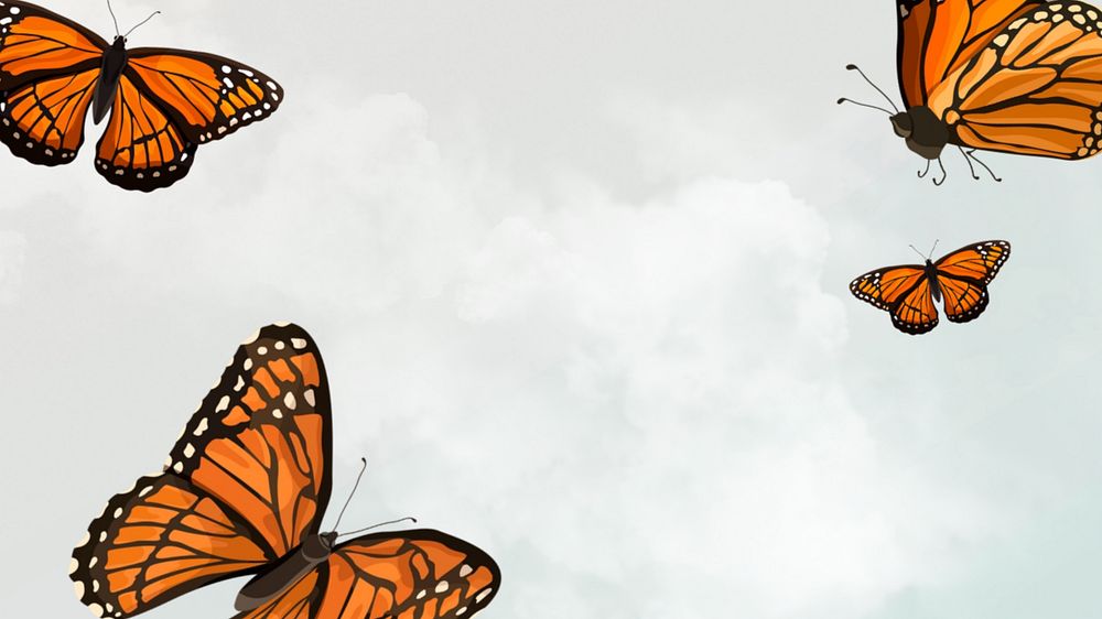 Editable butterfly sky   desktop wallpaper