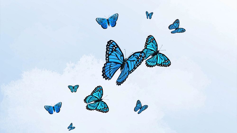 Editable butterfly sky   desktop wallpaper