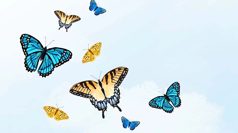 Editable butterfly sky   desktop wallpaper