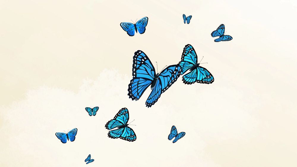 Editable butterfly sky   desktop wallpaper