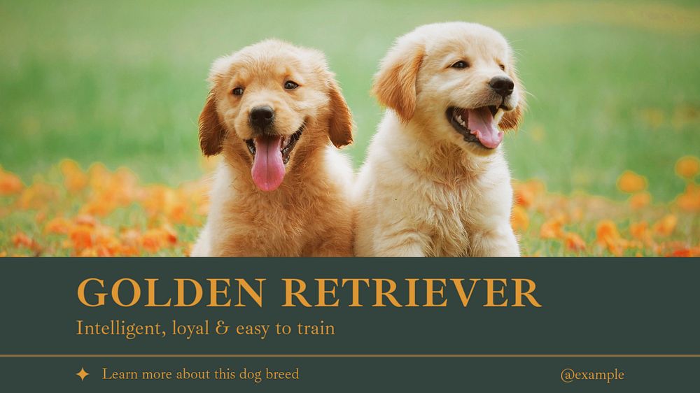 Golden retriever blog banner template, editable text