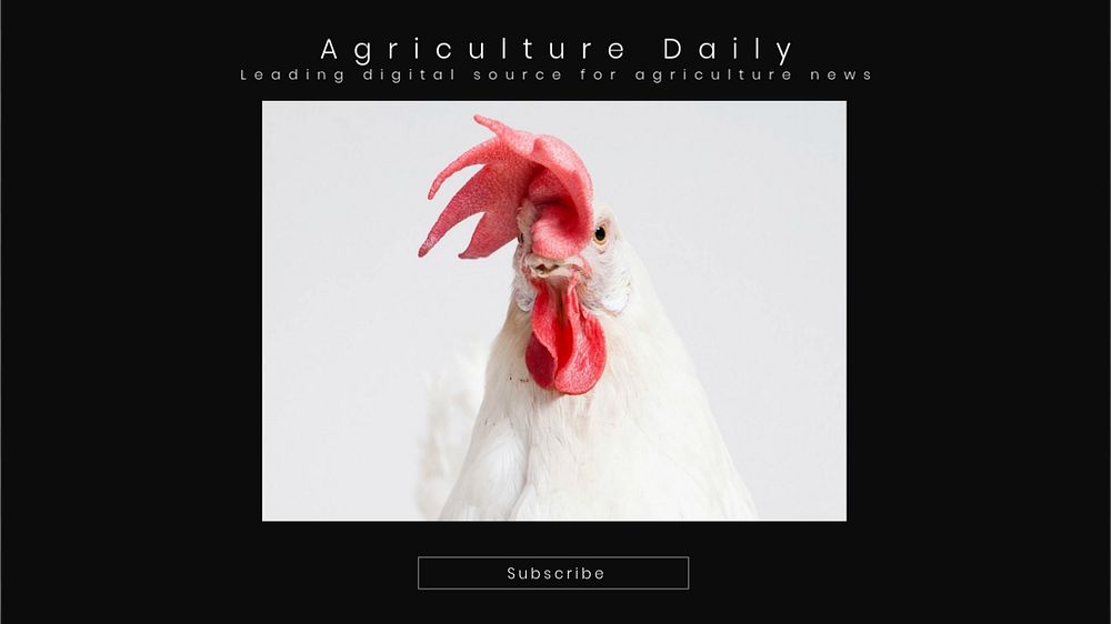 Agriculture daily  blog banner template, editable text