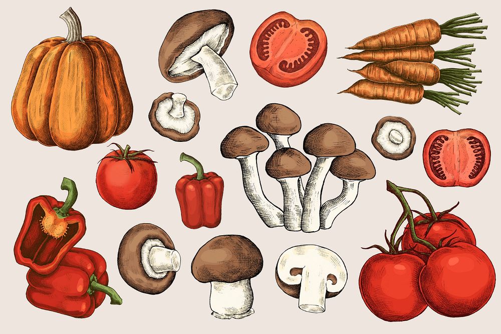 Organic vegetable illustration, collage element set, editable design