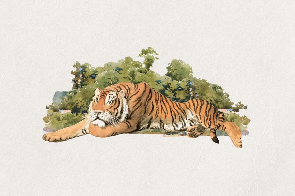 Tiger watercolor, editable remix design