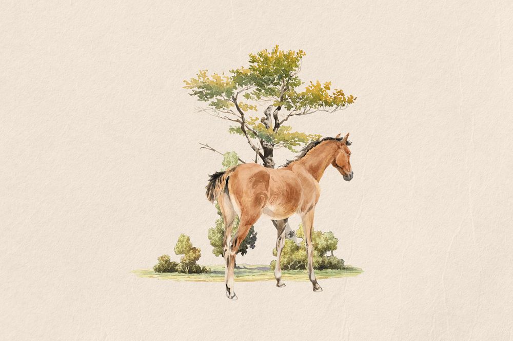 Watercolor horse foal, editable remix design