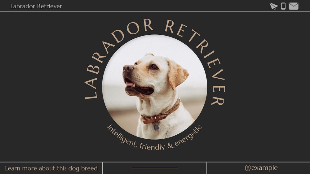 Labrador retriever  blog banner template, editable text