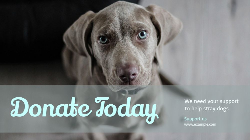 Animal donation  blog banner template, editable text